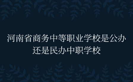 河南省商務(wù)中等職業(yè)學(xué)校是公辦還是民辦中職學(xué)校